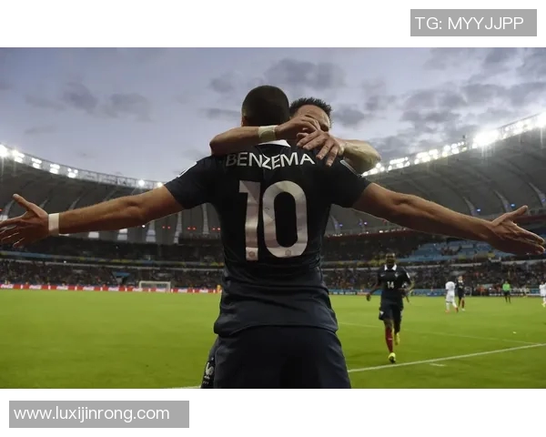 法国足球明星全景盘点及历史成就分析大全