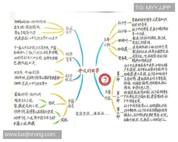 刘泽一的成长之路：从平凡少年到卓越人才的奋斗历程与人生启示