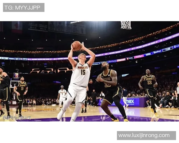 湖人对决掘金精彩网络直播全程回顾与赛后分析